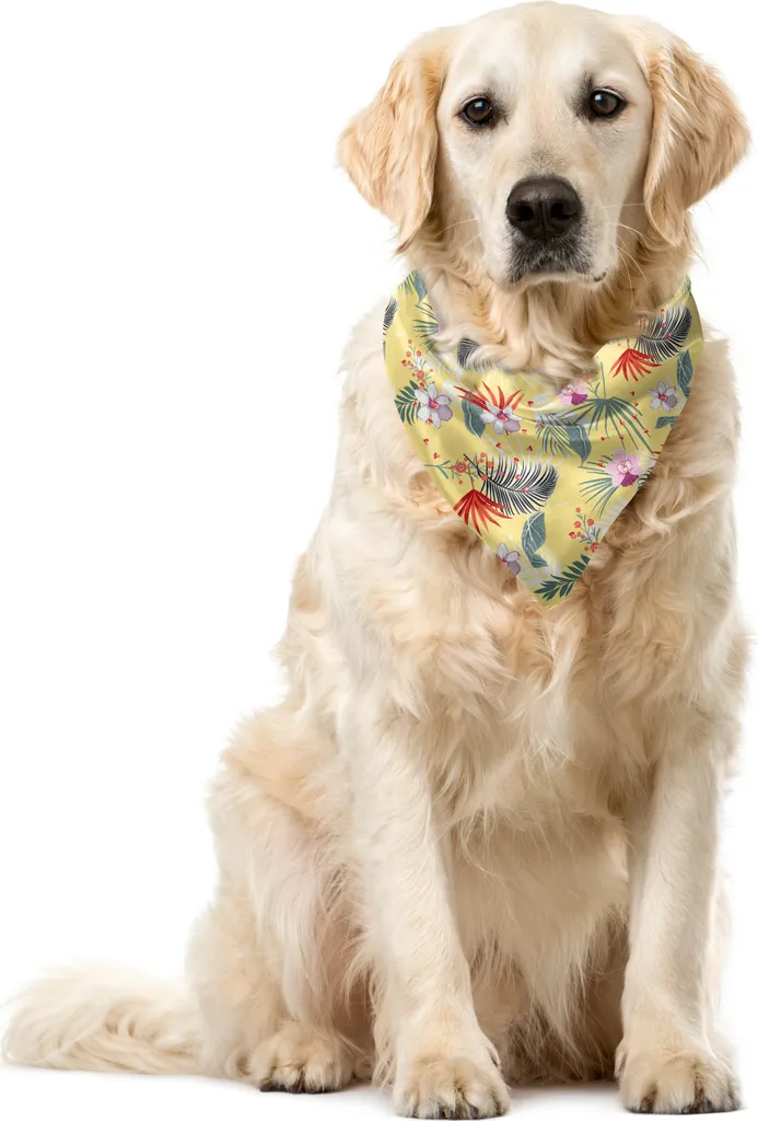 Bandana Cane Ibisco ABAKUHAUS Giallo Pastello - Foto Perfette
