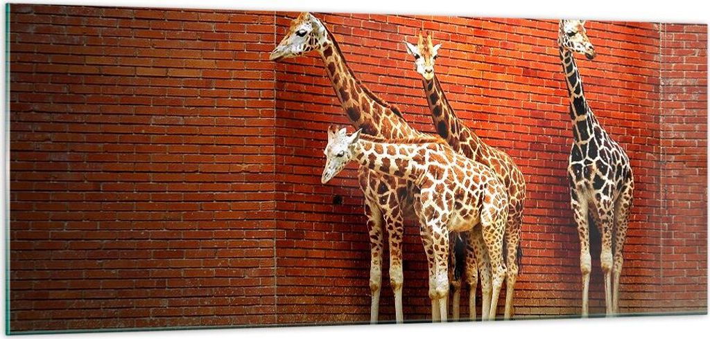 Bilder auf glas - Tiere Giraffen Zoo Familie - 100x40cm - Glasbilder - Wandbilder - Kunstdruck - zum Aufhängen bereit - Wanddekoration aus Glas - ...