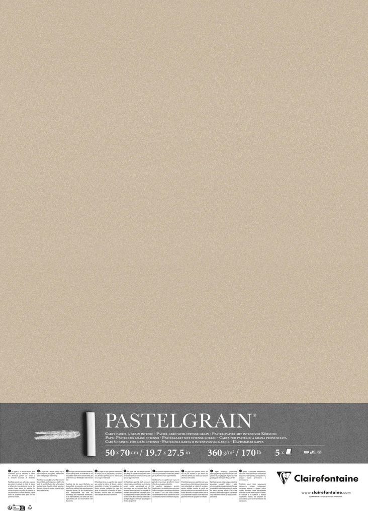 Clairefontaine PastelGrain 50x70cm 5 Bogen 360g - Sand 976070C