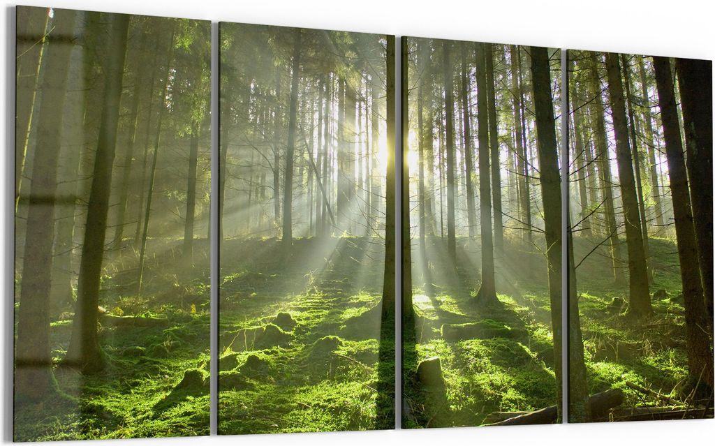 DEQORI Glasbild Echtglas 4x30x60 cm 'Waldlichtspiele' Wandbilder XXL groß