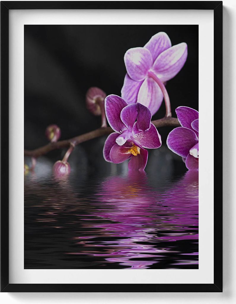 Rosa Orchideenblüte auf dem Wasser– Wandbild mit Rahmen – Gerahmtes Bild – Wanddekoration – 60x80 cm – Schwarz Rahmen