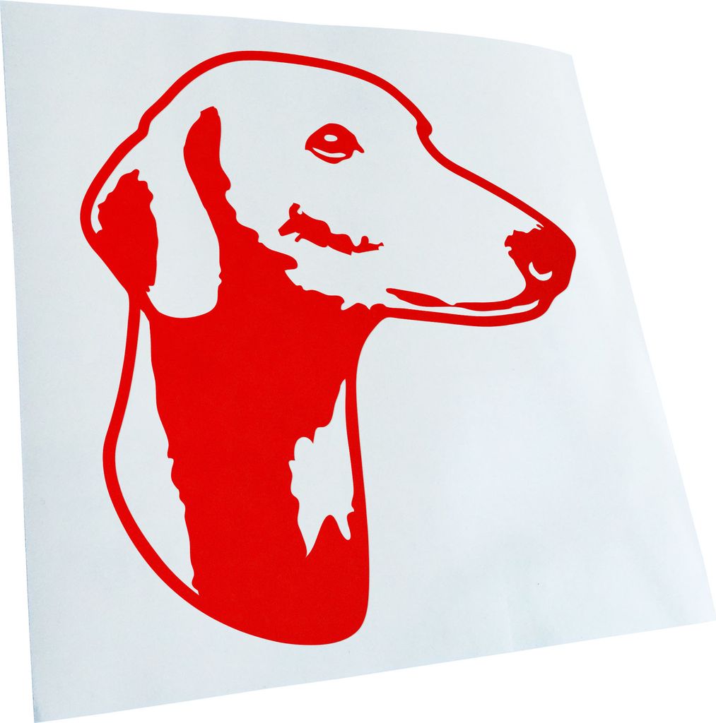 Kiwistar - Autoaufkleber - Azawakh Hund - Rot - 50x45cm - Aufkleber für Auto, Laptop, Fahrrad, LKW, Motorrad mehrfarbig JDM Decal Racing