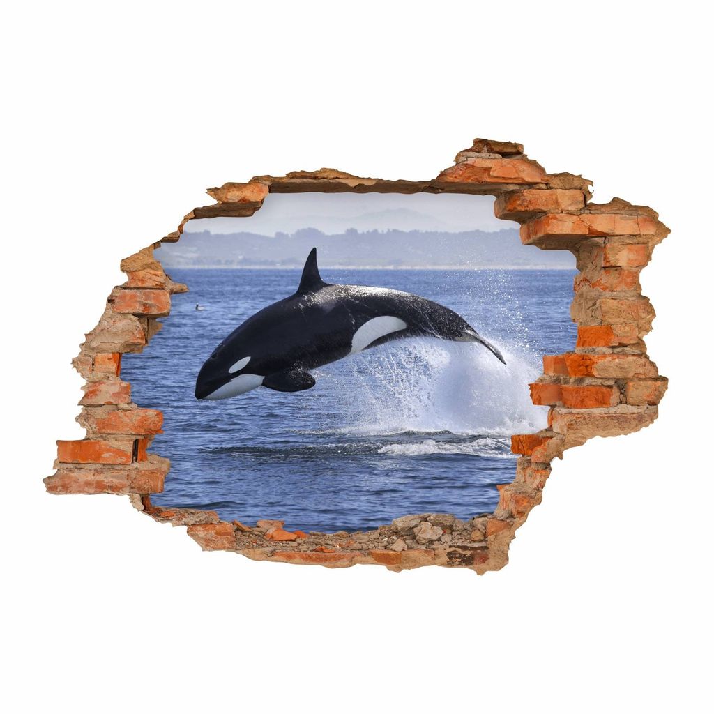 nikima - 102 Wandtattoo Orca Killerwal Schwertwal - Loch in der Wand : Größe - 1500 x 1000 mm