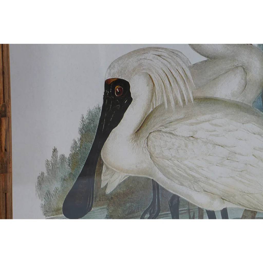 Cadre Mural Salon Oiseaux Orientaux 45x60 cm Ensemble Déco de 4 - 2