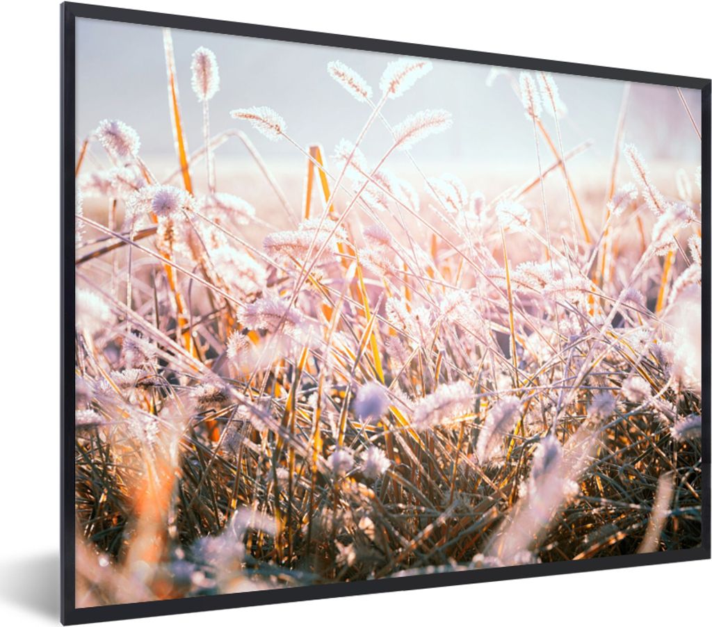 MuchoWow Gerahmtes Poster Gras - Sonne - Winter - Schnee 80x60 cm - Poster mit Schwarzem Bilderrahmen Wandposter Rahmen Foto Bilder - Schwarzem -...
