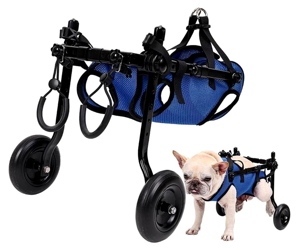 Leichter Rollstuhl für Hunde, Trolley für Haustiere, verstellbar für Hinterbeine, Mobilitätshilfe mit Rädern für verletzte Welpen von 5-8 kg (M)