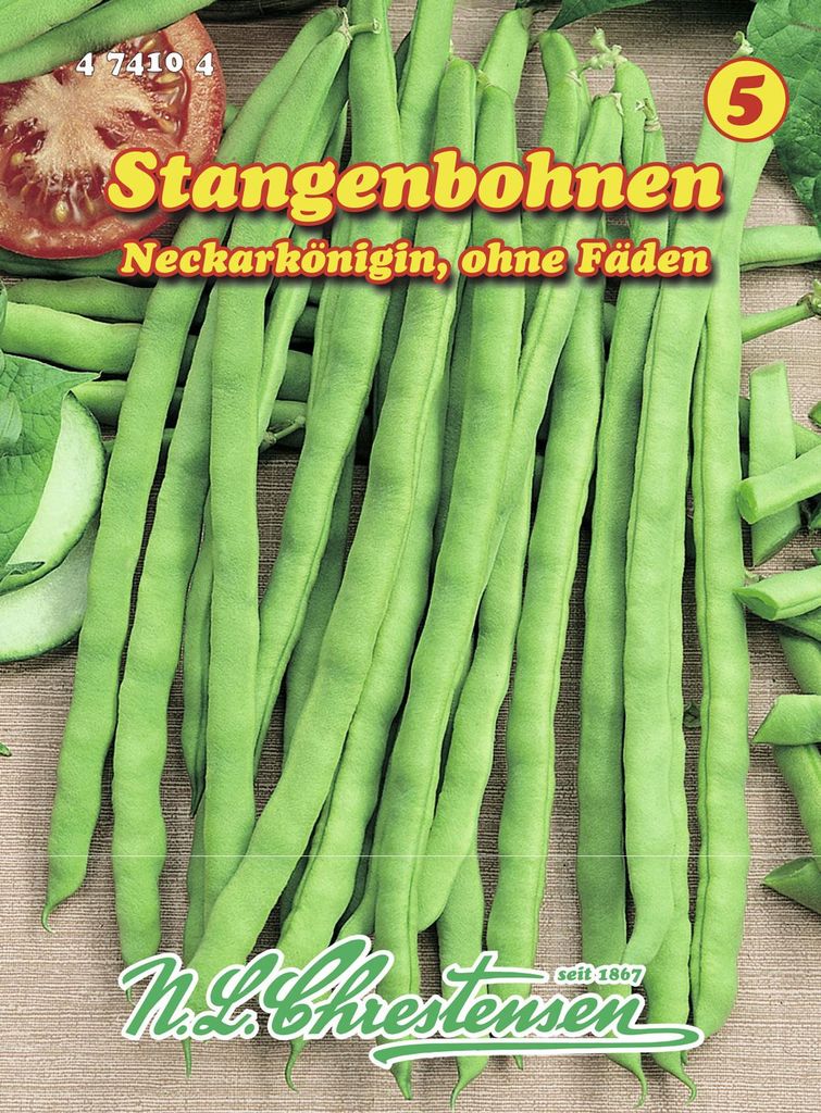 Stangenbohne Neckarkönigin | Stangenbohnensamen von N.L. Produktbild 