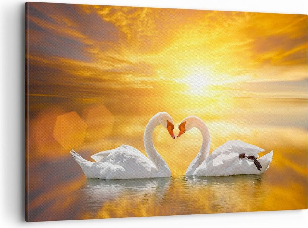 Bild auf Leinwand - Leinwandbild - Schwan Wasser Paar - 120x80cm - Wand Bild - Wanddeko - Leinwanddruck - Bilder - Kunstdruck - Wanddekoration - Le...