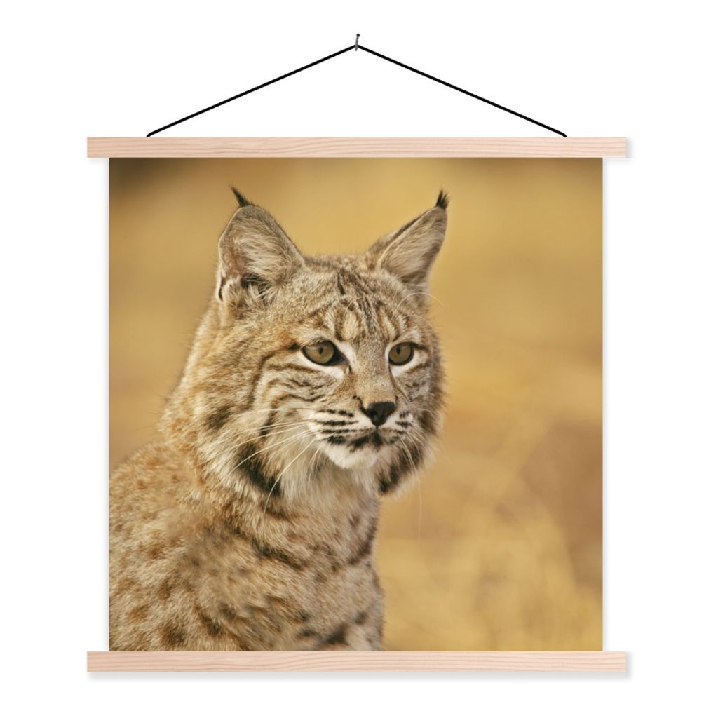 MuchoWow Textilposter Luchs - Braun - Gras 40x40 cm mit holzfarbenen Rahmen - Posterleiste