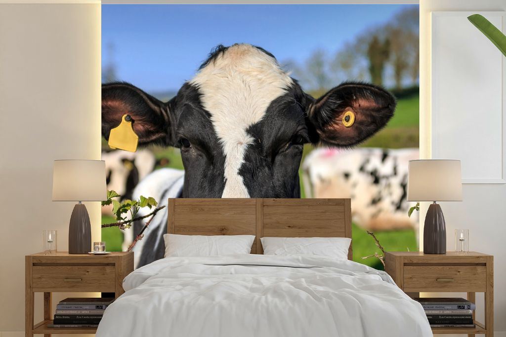 MuchoWow Fototapete für Wohnzimmer oder Schlafzimmer Wandtapete Vinyl Motivtapete Kuh - Zaun - Gras - Tiere - 240x240 cm - Schlafzimmer-Tapete
