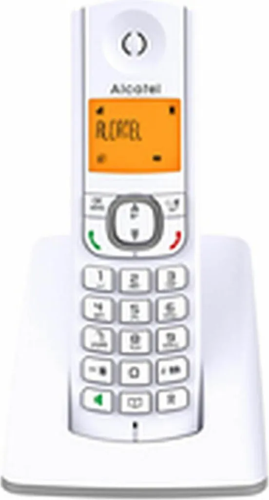 Téléphone Sans Fil Alcatel F530SG Gris et Blanc avec Grand Écran Confort