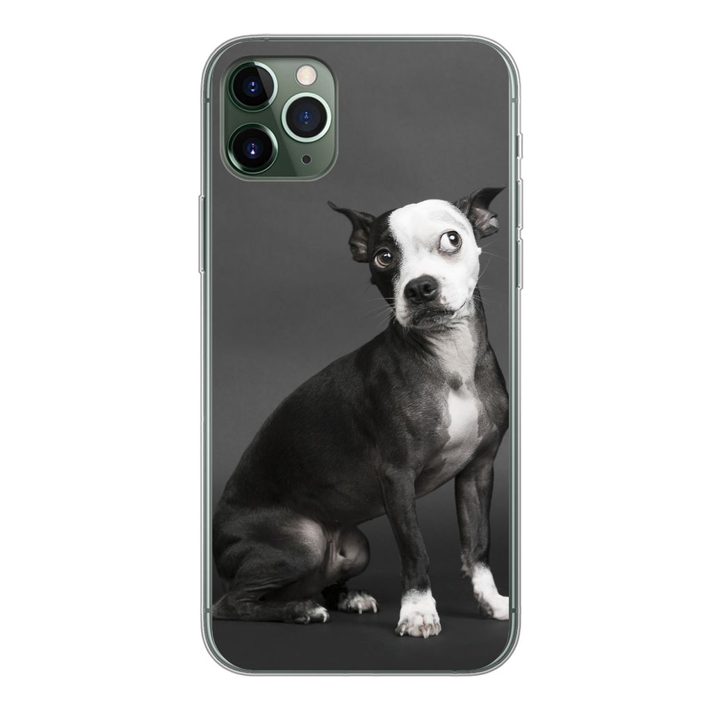 MuchoWow Handyhülle Schutzhülle Hülle für iPhone 11 Pro Max Hund - Spot - Porträt Silikon Softcase Handy Hülle