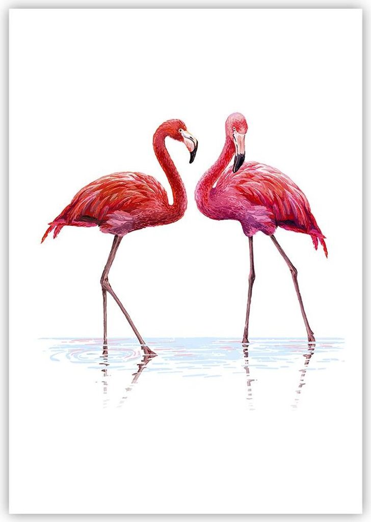 Poster - Poster ohne Rahmen - Flamingos Rosa Paar - 70x100 cm - Wand Bild - Wanddeko - Wandbilder - Kunstposter - Wandposter - Bilder - Kunstdruck ...