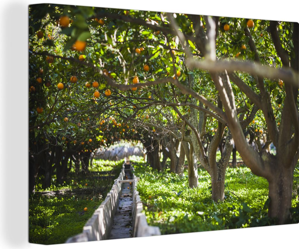 OneMillionCanvasses - Leinwandbilder - 140x90 cm, Orangenplantage in Spanien, Wandbilder Kunstdruck Wanddekoration