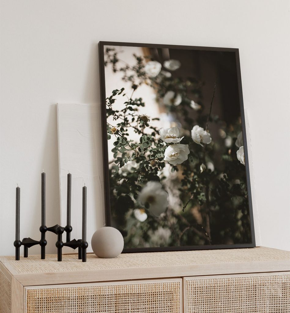 Poster Rosengewächse, groesse_poster:50x70 cm, groesse_rahmen:birke 50x70 cm