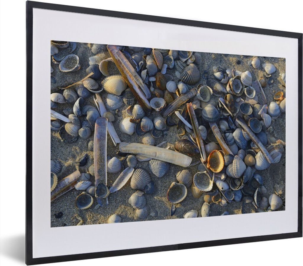 MuchoWow MuchoWow Gerahmtes Poster Muscheln am Strand Vlieland 40x30 cm - Poster mit zchwarzem Bilderrahmen - Bilderrahmen - Poster im Rahmen