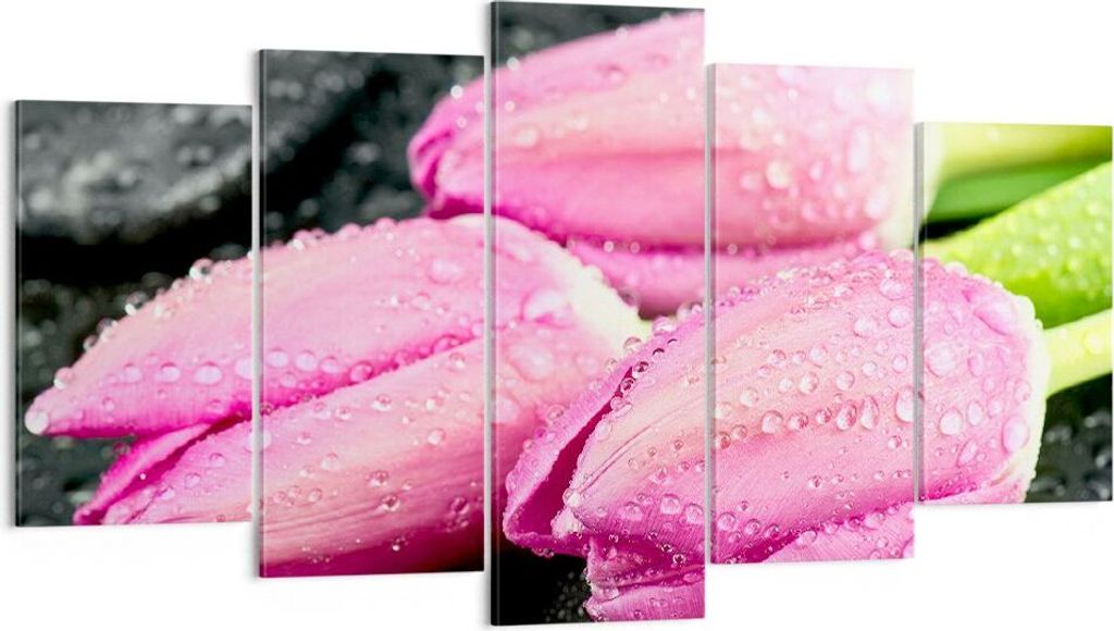 Bild auf Leinwand - Leinwandbild - Tulpen Tau Steine Pflanze - 160x85cm - Wand Bild - Wanddeko - Leinwanddruck - Bilder - Kunstdruck - Wanddekorati...