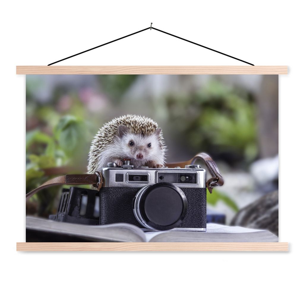 MuchoWow Textilposter Igel auf einer Kamera 60x40 cm mit holzfarbenen Rahmen - Bilder