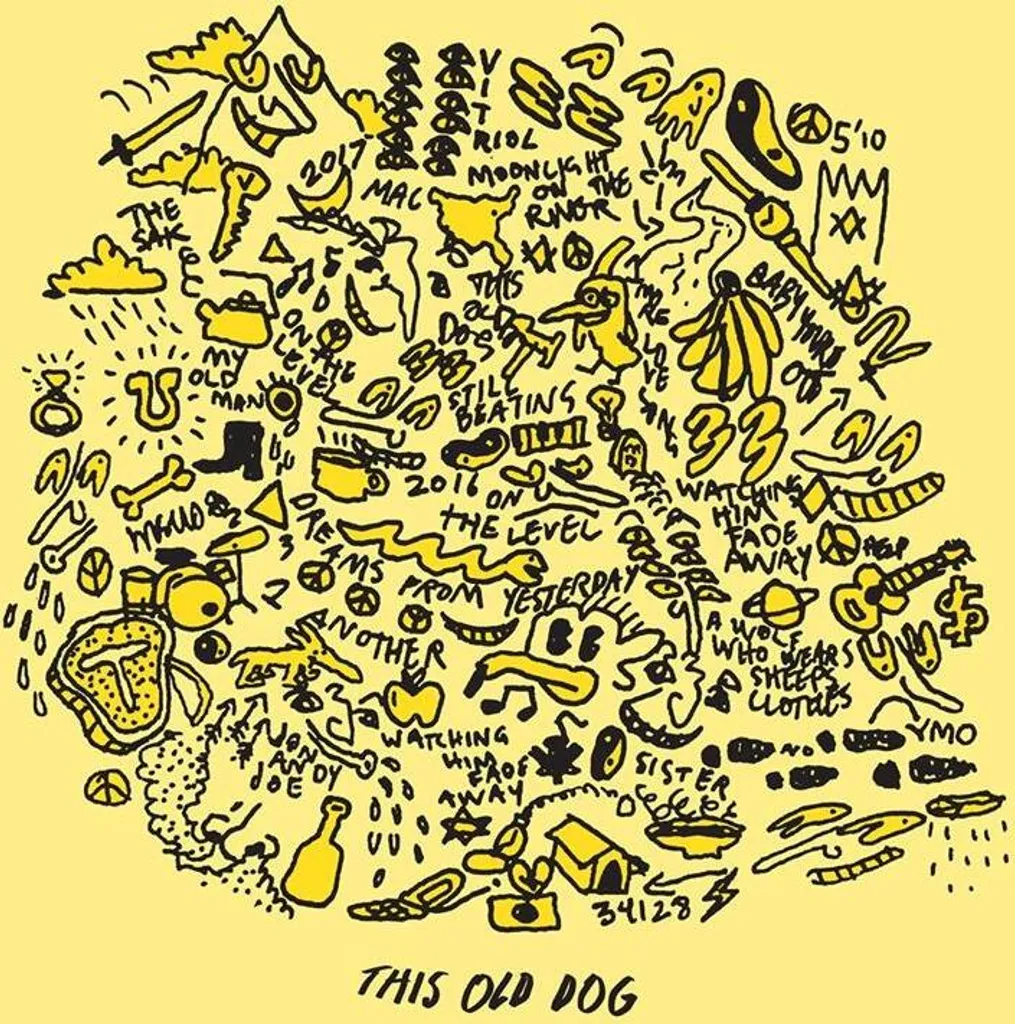 Album Vinyle Mac DeMarco This Old Dog LP Retrouvez le Son Analogique