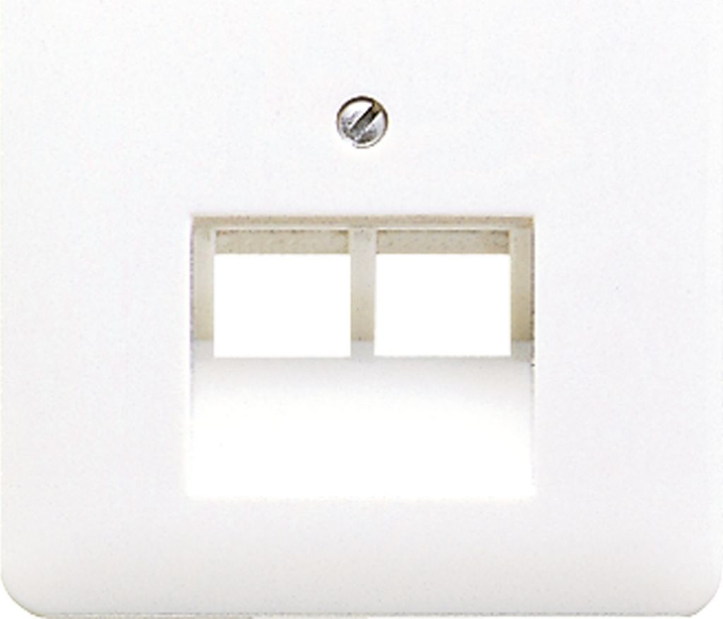 Jung CD569-2UALG Abdeckung für IAE/UAE-Anschlussdose