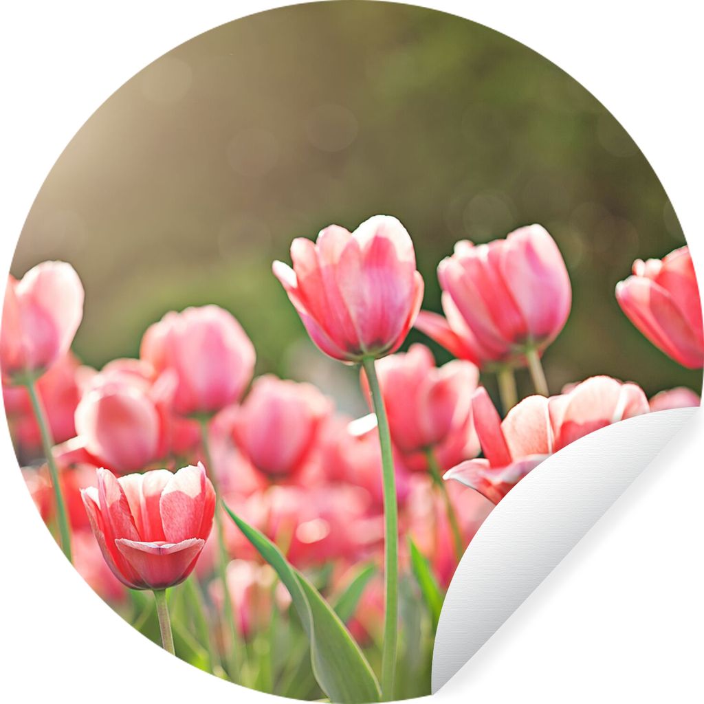 MuchoWow Runde Wandtattoo - Wandsticker Tapete Aufkleber Tulpen - Sonne - Frühling Ø 80 cm Selbstklebend und Repositionierbar - Wandaufkleber -...
