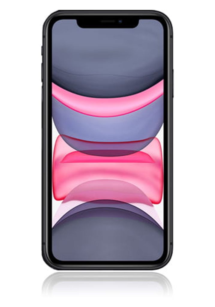 Apple iPhone 1792 x cm 11, (6.1 15,5 Zoll)