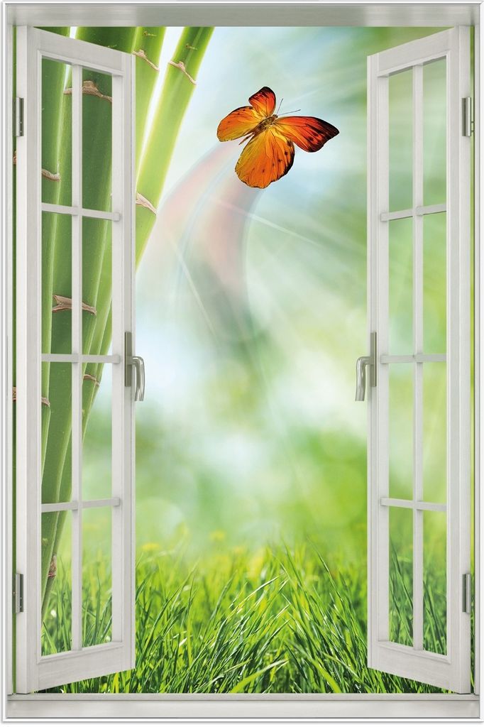Wallario Wandbild mit Fenster-Illusion: Schmetterling im Grünen mit Bambus, Größe: 61 x 91,5 cm, Poster mit weißem Aluminiumrahmen
