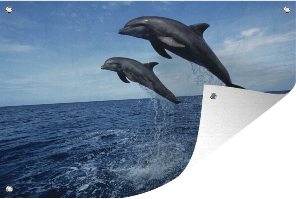MuchoWow 120x80 cm Outdoor-Poster Gartendeko Sichtschutz Garten Poster für den Garten Delfin - Meer - Tier