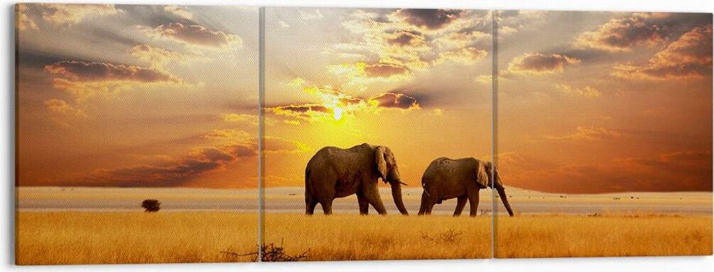 Bild auf Leinwand - Leinwandbild - Elefanten Safari Dschungel Busch - 150x50cm - Wand Bild - Wanddeko - Leinwanddruck - Bilder - Kunstdruck - Leinw...