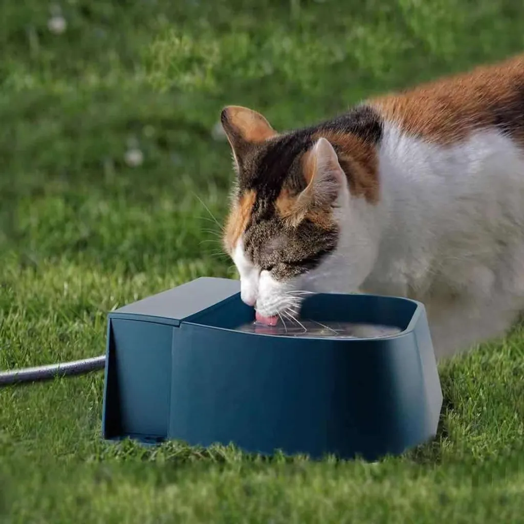 Bac à Eau Extérieur et Intérieur pour Animaux - Usage Maison ou Abri - 6