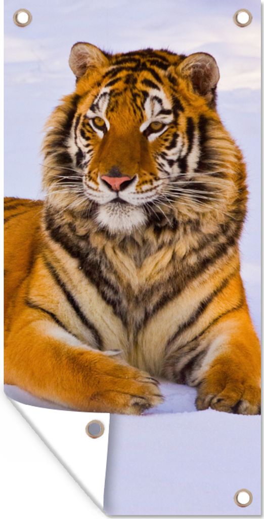 MuchoWow 80x160 cm Outdoor-Poster Gartendeko Sichtschutz Garten Poster für den Garten Tiger - Schnee - Winter - Tiere