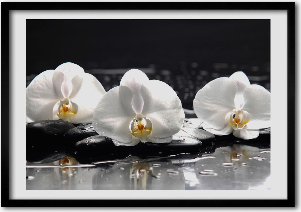 Bild - Bilder - Bilderrahmen - 70 cm x 50 cm - MDF-Rahmen, Wandkunst Orchidee
