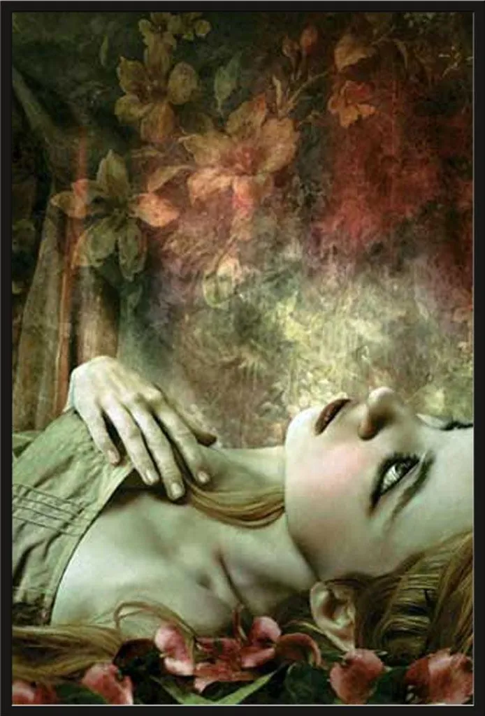 Affiche Arabesque Leighton & Erica avec Cadre Shinsuke Maxi Noir 61x91