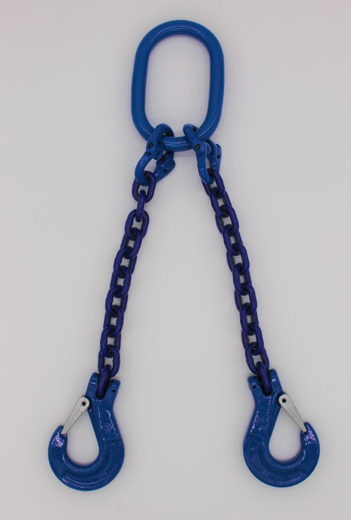 Anschlagkette Güteklasse 10 2-Strang 5,0 m 10 mm ohne Verkürzung blau