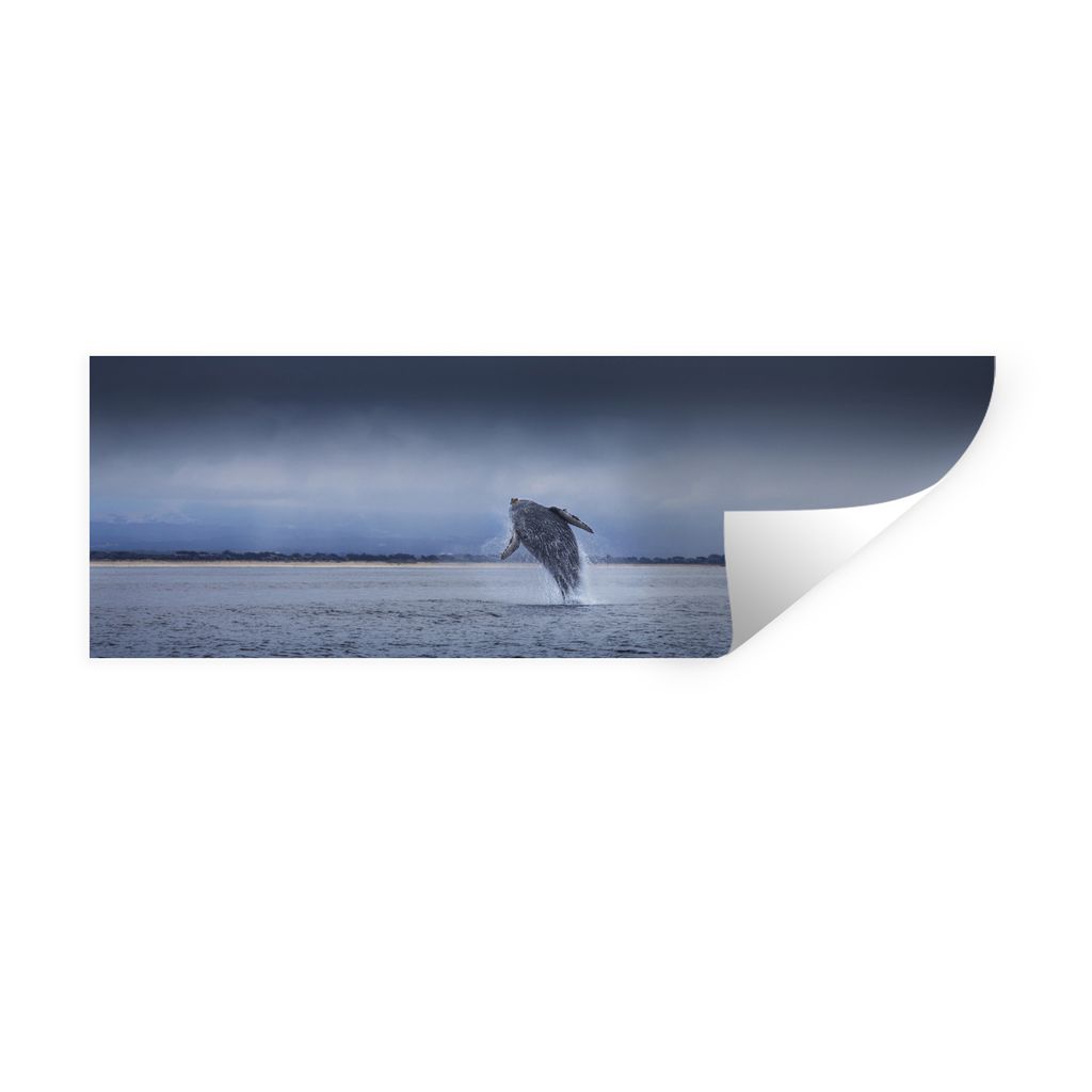 MuchoWow Wandtattoo Wandsticker Wandaufkleber Großaufnahme eines springenden Wals 60x20 cm Selbstklebend und Repositionierbar - Faltenfrei