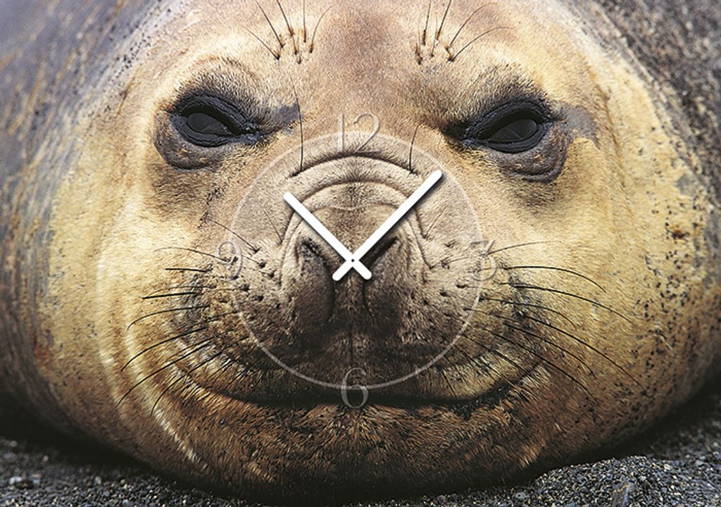6042 Dixtime Designer Wanduhr, Wanduhren, Moderne Bürouhr 70cm x 100cm