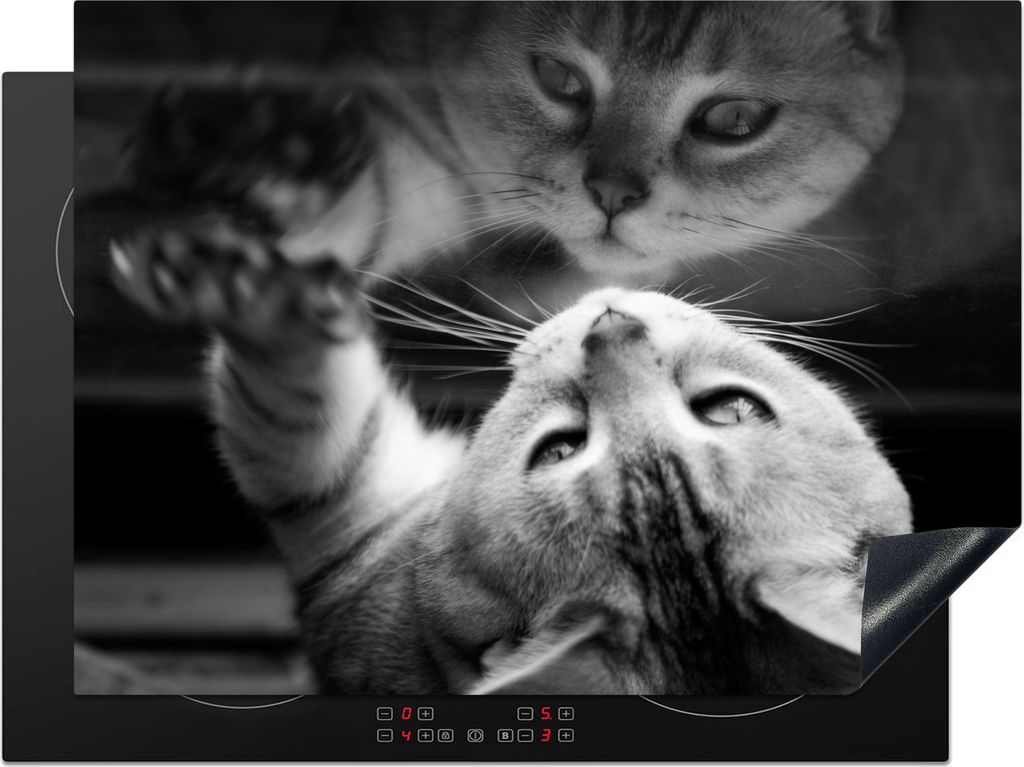 KitchenYeah© Herdabdeckplatte Katze schaut auf ihr Produktbild 