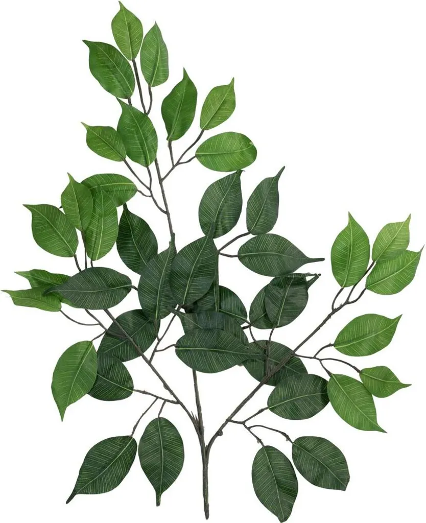 Ficus Benjamina Artificiel : 12 Branches Réalistes pour Déco sans Soin