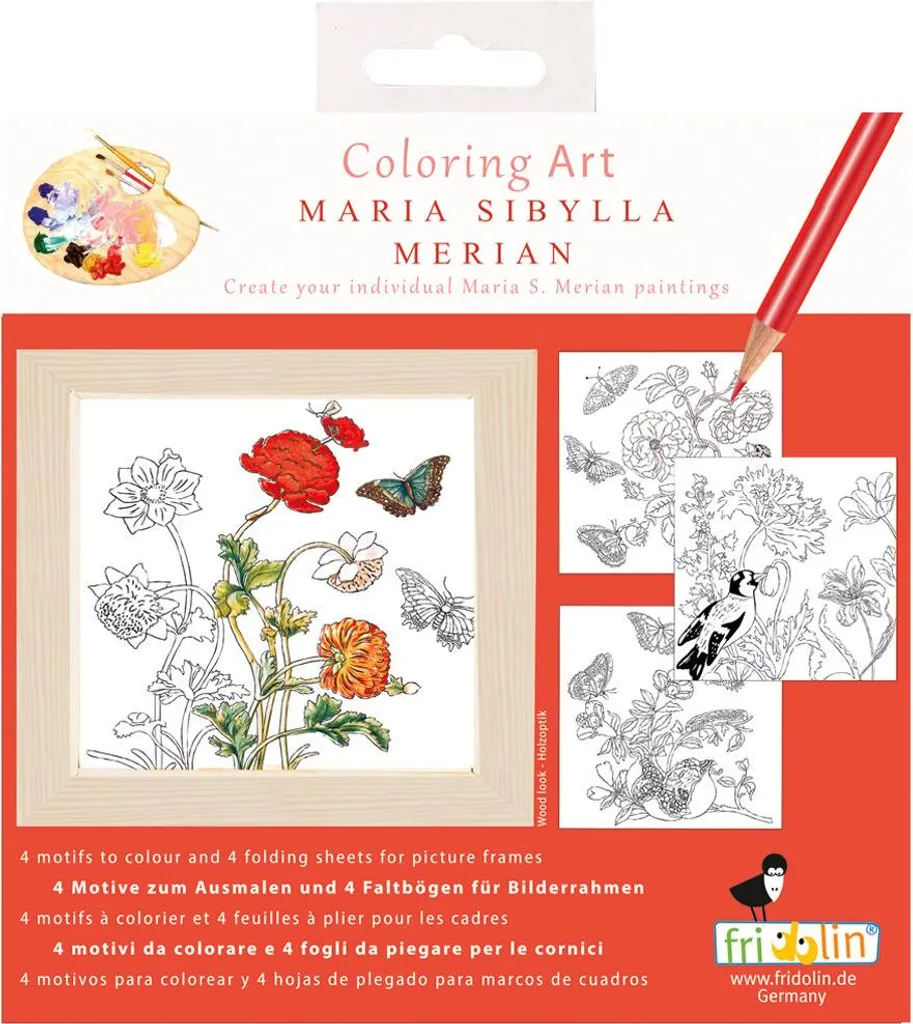 Tableau à Colorier avec Cadre 15x15 cm Fridolin Maria Sibylla Merian
