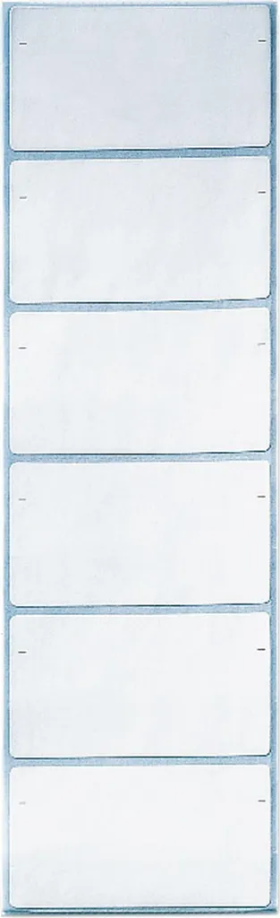Leitz Cartellini Adesivi Bianchi 73x40mm per Raccoglitori - 102 Pezzi