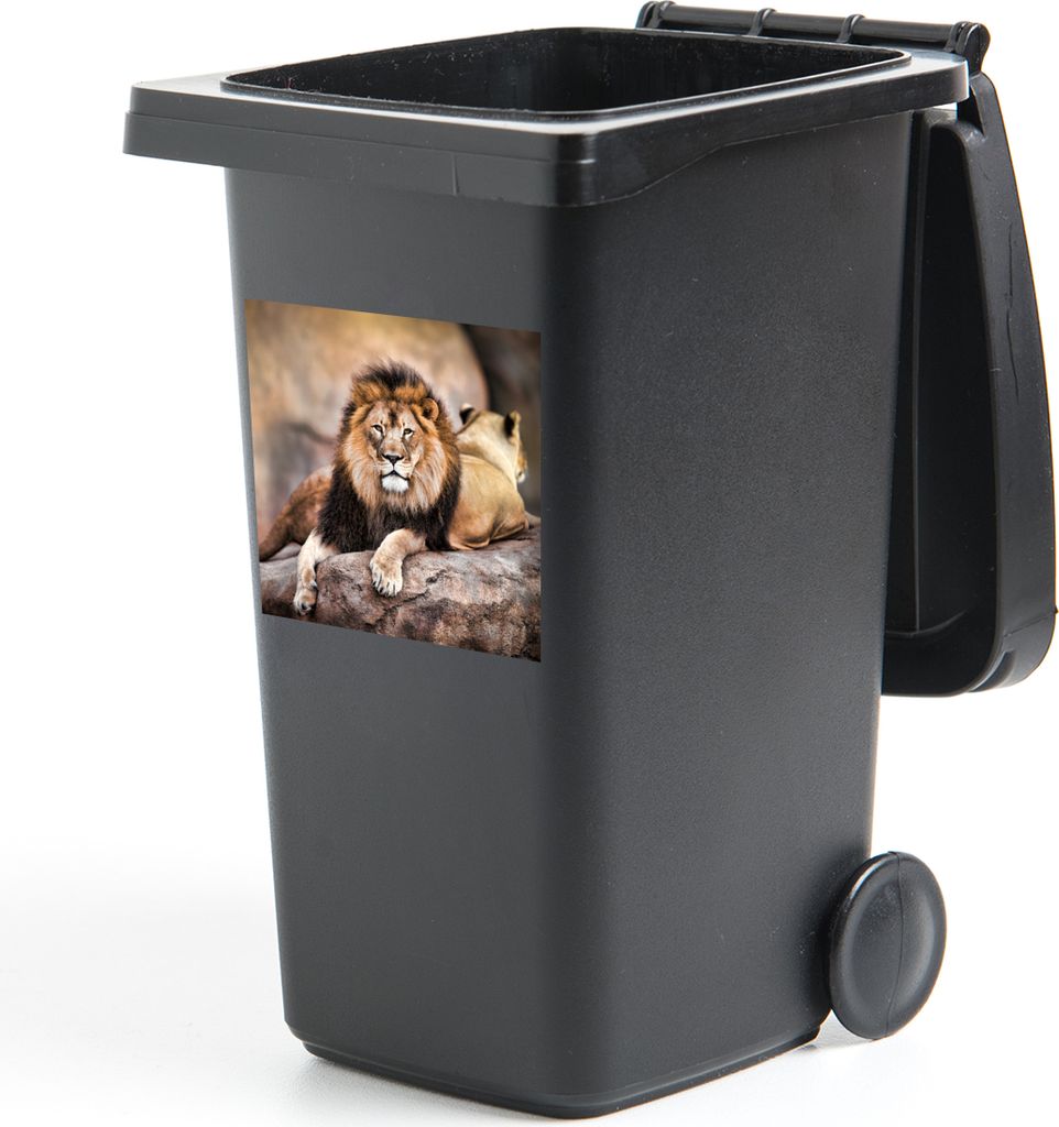 MuchoWow Mülltonnenaufkleber Löwe - Felsen - Tiere 40x40 cm - Abfall-Aufkleber - Container - für Abfallcontainer