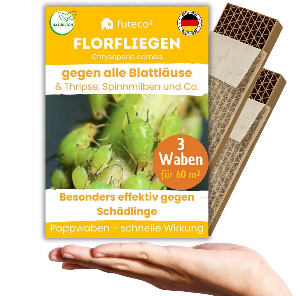 Florfliegenlarven gegen Blattläuse, Spinnmilben, Thripse & Co - 3 Waben für ca. 60 m²
