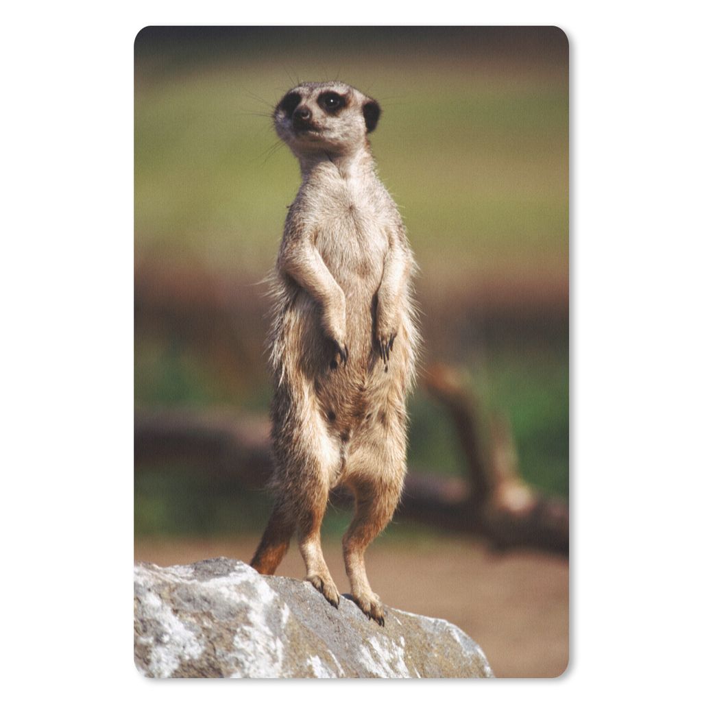 MuchoWow Mauspad Mousepad Erdmännchen - Tier - Spiel 18x27 cm - Mousepads - Maus Mat - Pad - Mausunterlage