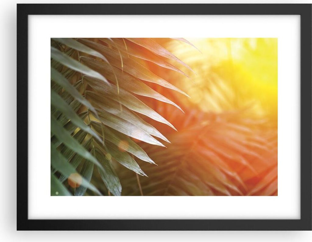 Gerahmtes Poster - Schwarzer Rahmen - Exotisch Blätter Dämmerung - 40x30 cm - Wand Bild - Wanddeko - Wandbilder - Kunstposter - Wandposter - Bild...