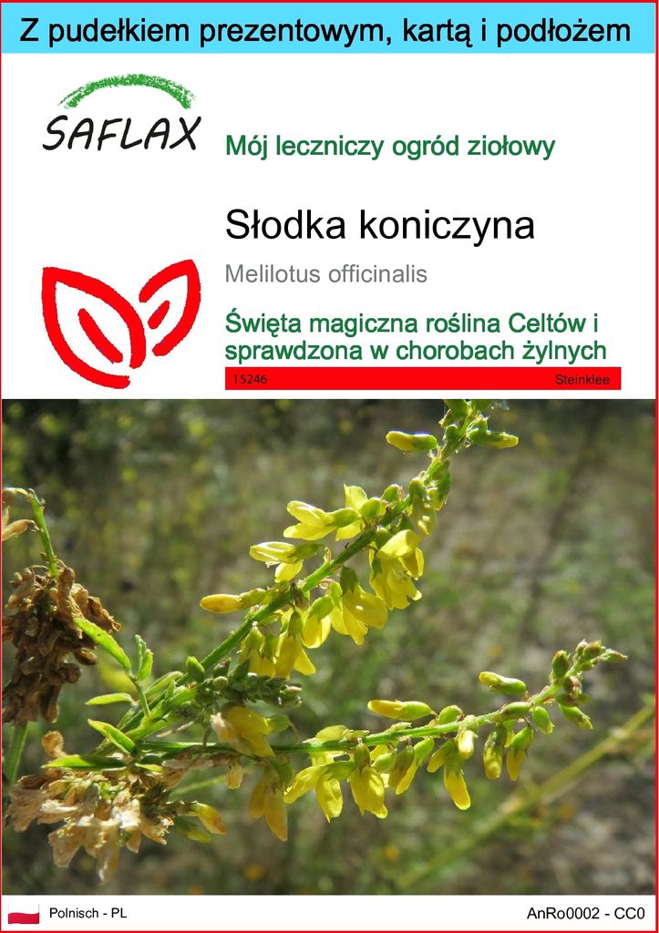 SAFLAX - Zestaw prezentowy - Słodka koniczyna - 250 Nasiona Zdjęcie produktu 
