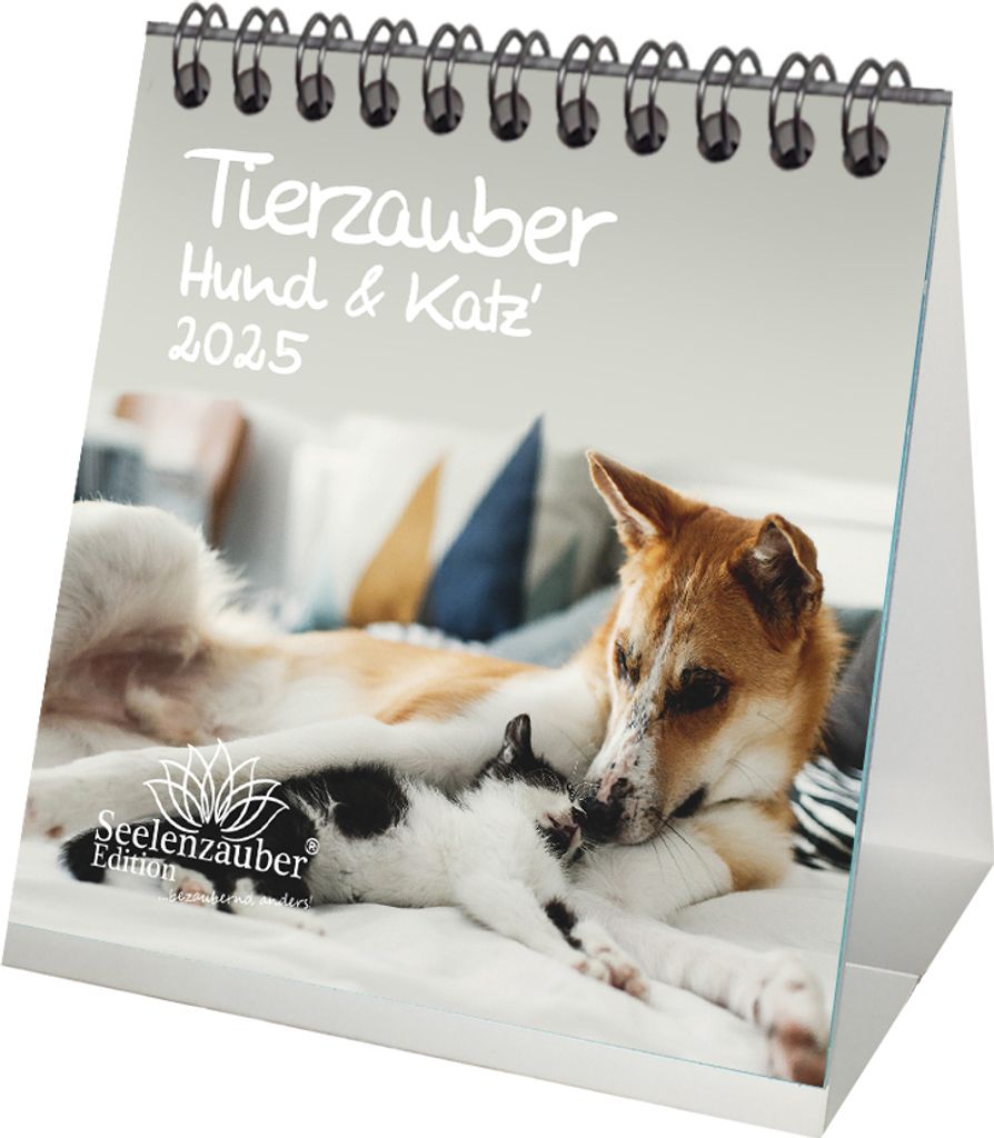 Tierzauber Hund und Katz' Kalender für 2025 Format 10cm x 10cm Katzen Hunde Freundschaften - Seelenzauber