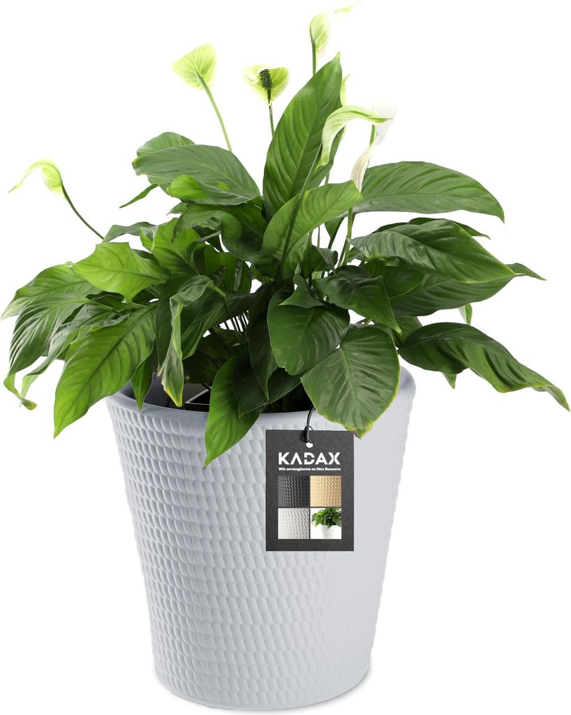 KADAX Blumentopf Blumenabdeckung Grau 35 cm
