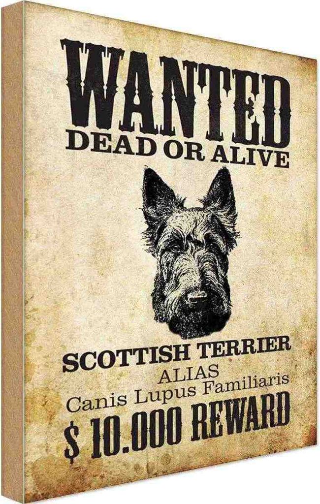 vianmo Holzschild 30x20 cm Hund wanted Scottish Terrier Tier Haustier