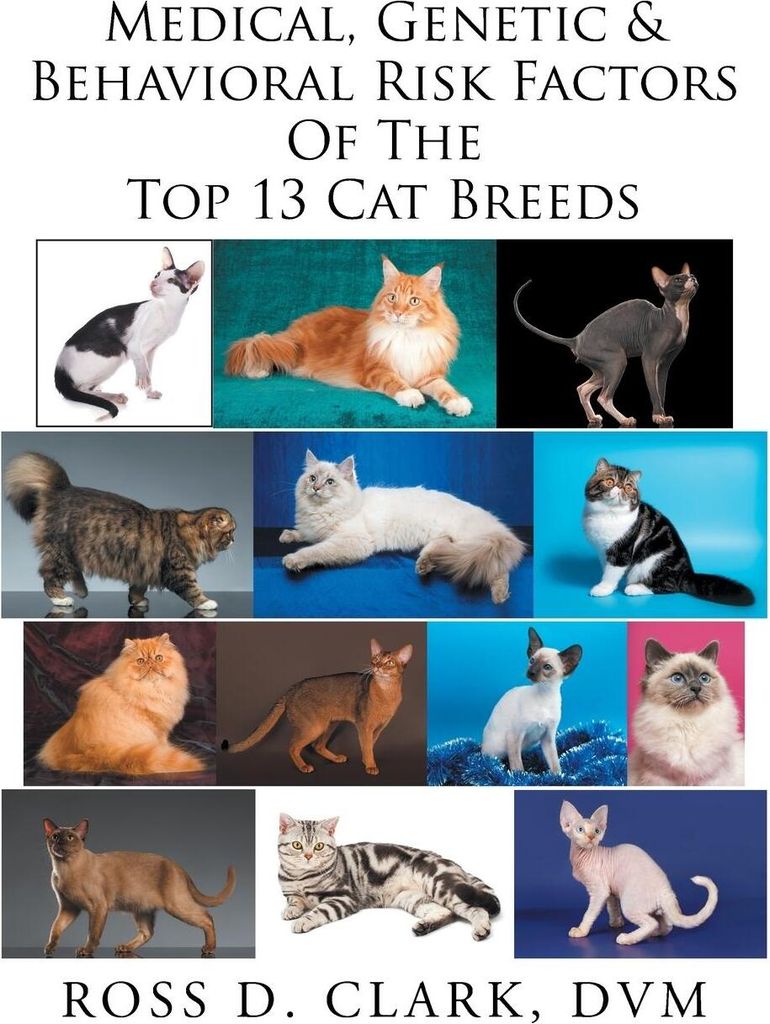Medical, Genetic & Behavioral Risk Factors of the Top 13 Cat Breeds
