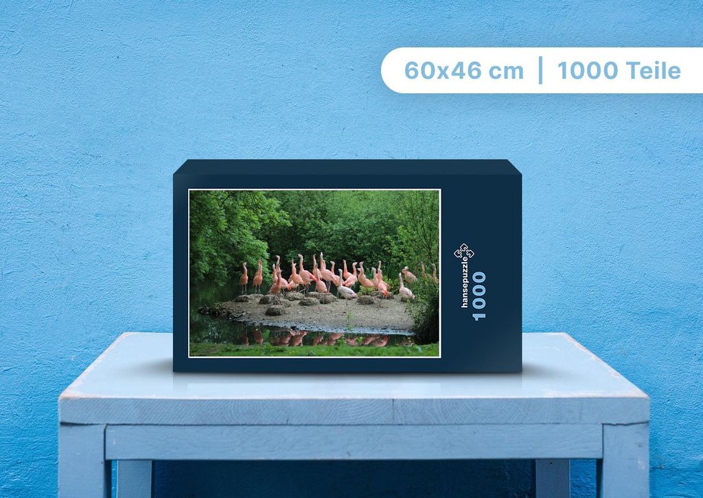hansepuzzle 96022 - Flamingo Puzzle, 1000 Teile, Tierwelt, 60,0 x 46,0cm mit hochwertiger Aufbewahrung, Kartonbox und wiederverschließbarem Beutel